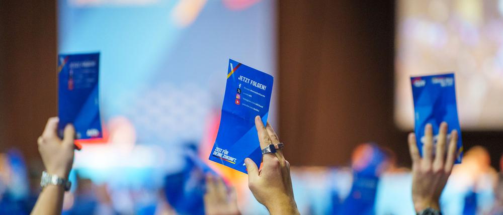 Die Gründung der neuen Parteijugend verlief ohne große Kontroversen.