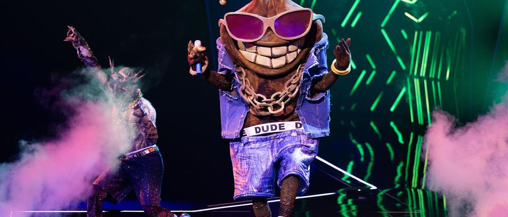 Die Stinkwanze „Dude“ ist bei der ProSieben-Show „The Masked Singer“ raus. (Archivbild)