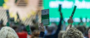 Die Grünen verabschiedeten auf ihrem Parteitag einen Leitantrag mit klaren außenpolitischen Positionen.