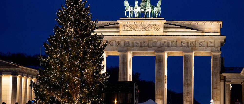 Der Baum kommt aus Thüringen.