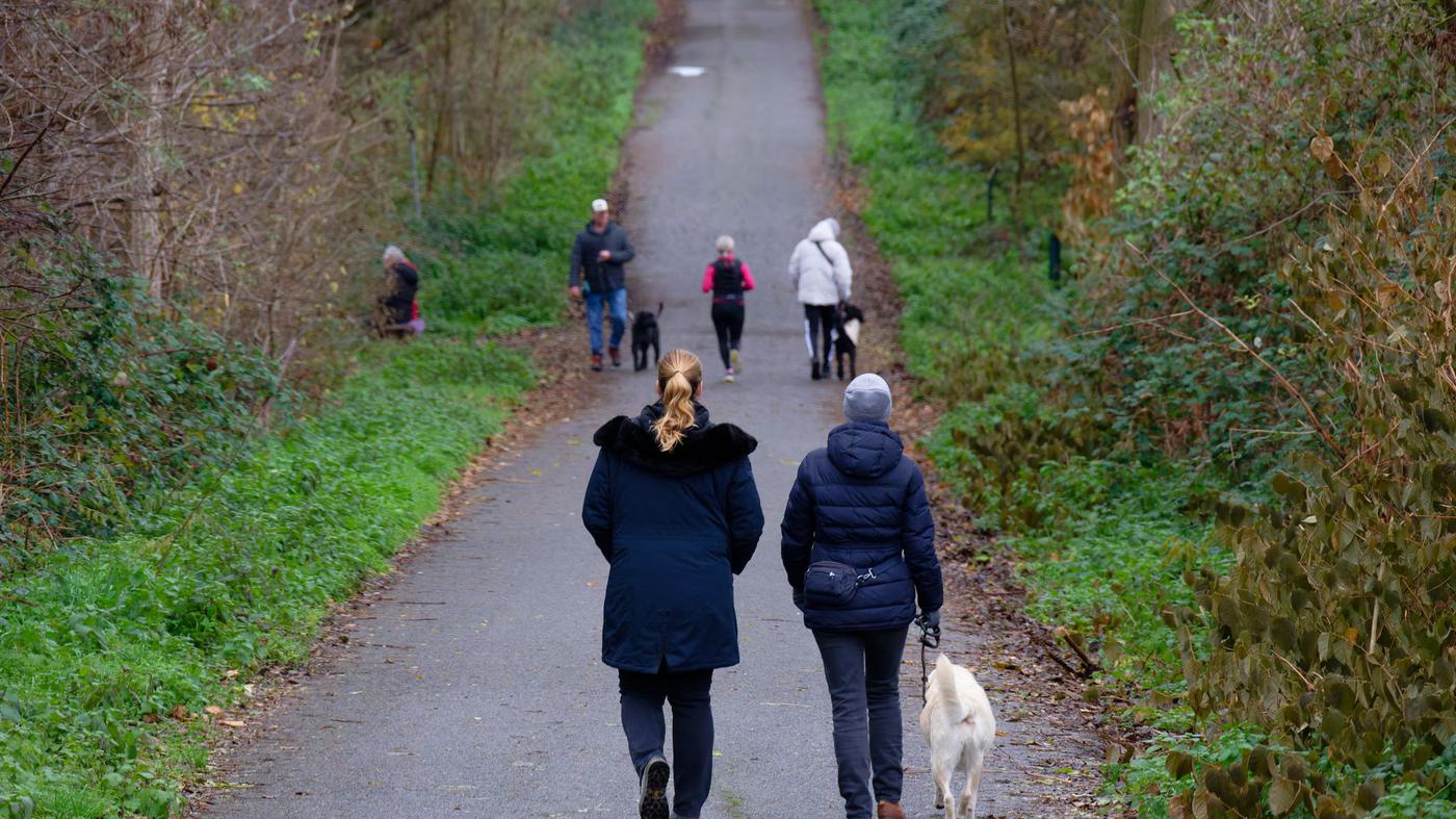 Wetter-Mildes-Wetter-zum-meteorologischen-Winteranfang