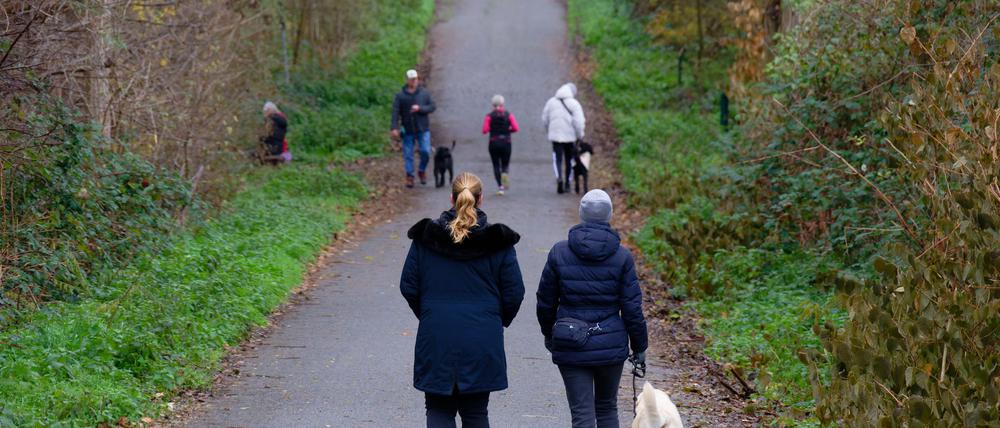Zum Wochenstart wird es in vielen Regionen Deutschlands heiter bis wolkig. 