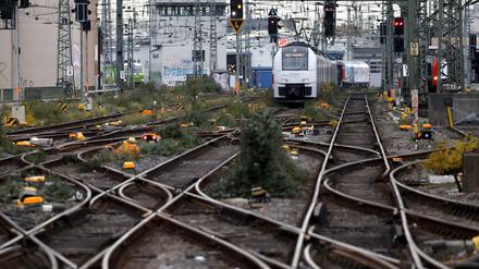 Nicht nur bei der Beschneidung des Grüns entlang der Strecke liegt bei der Bahn einiges im Argen. 