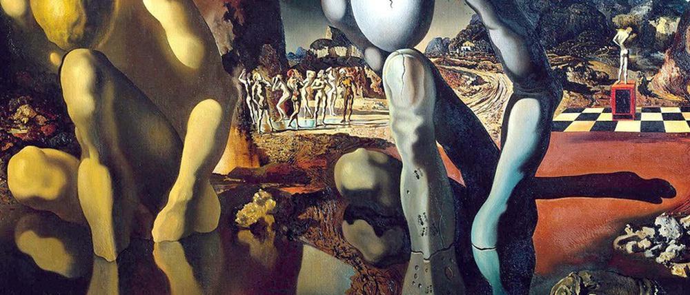 Dalí Metamorphosis of Narcissus