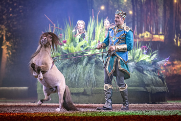 Talentiertes Minishetty // Weiterer Text über ots und www.presseportal.de/nr/55914 / Die Verwendung dieses Bildes für redaktionelle Zwecke ist unter Beachtung aller mitgeteilten Nutzungsbedingungen zulässig und dann auch honorarfrei. Veröffentlichung ausschließlich mit Bildrechte-Hinweis.