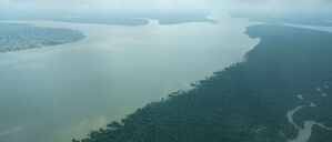 ARCHIV - 13.11.2025, Brasilien, Cachoeira do Piria: Der Fluss Guama im Norden Brasiliens im Bundesstaat Para. (zu dpa: «Schneider nennt Details zu deutschem Geld für Tropenfonds») Foto: Larissa Schwedes/dpa +++ dpa-Bildfunk +++