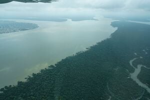 ARCHIV - 13.11.2025, Brasilien, Cachoeira do Piria: Der Fluss Guama im Norden Brasiliens im Bundesstaat Para. (zu dpa: «Schneider nennt Details zu deutschem Geld für Tropenfonds») Foto: Larissa Schwedes/dpa +++ dpa-Bildfunk +++