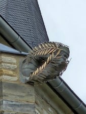 Die judenfeindliche Skulptur in Calbe in Sachsen-Anhalt wurde von dem Bildhauer Thomas Leu verhüllt.