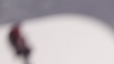 Popstar Sabrina Carpenter zeigt sich empört über das Weiße Haus. (Archivbild)