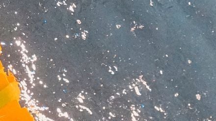 Die deutsche Schwimmerin Isabel Gose wurde über 400 Meter Freistil Europameisterin auf der Kurzbahn. (Archivbild)