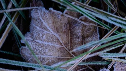 In Berlin und Brandenburg ist mit Frost und Glätte zu rechnen. (Symbolbild)