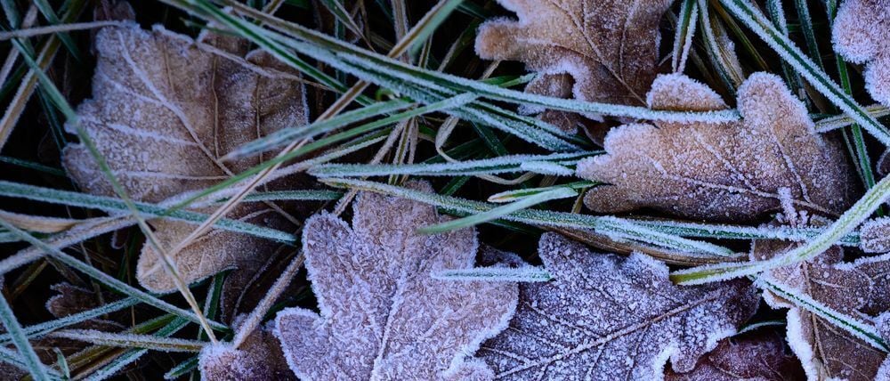 In Berlin und Brandenburg ist mit Frost und Glätte zu rechnen. (Symbolbild)