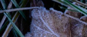 In Berlin und Brandenburg ist mit Frost und Glätte zu rechnen. (Symbolbild)