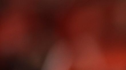 In vielen Stadien hatte es zuletzt Proteste gegen die Pläne der Innenministerkonferenz gegeben. (Archivbild)