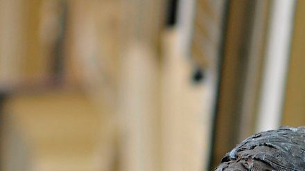 In Prag erinnert eine Büste an den Schriftsteller Rainer Maria Rilke (1875-1926). Hier besuchte er die Volksschule.