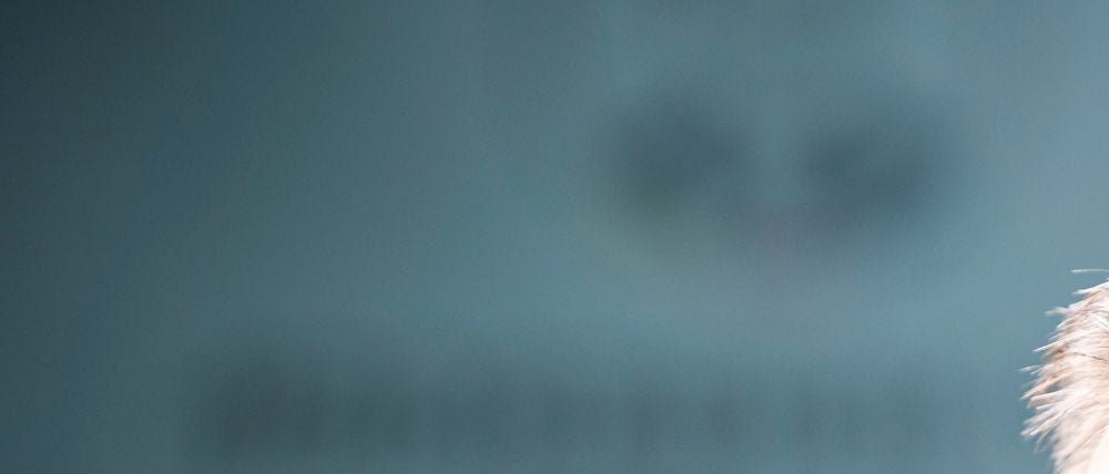 Philipp Lahm fordert von Bundestrainer Julian Nagelsmann vor der WM mehr Kontinuität und klare Strukturen in der Mannschaft. (Archivbild)