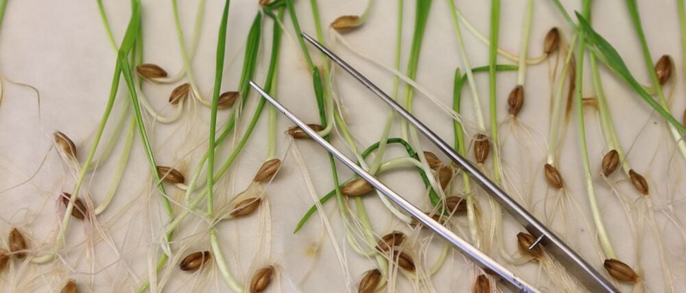 Die neuen Vorgaben müssen noch vom EU-Parlament und den EU-Staaten bestätigt werden. Normalerweise ist das Formsache, wenn sich die Unterhändler der Institutionen zuvor auf einen Kompromiss geeinigt haben.(Archivbild)