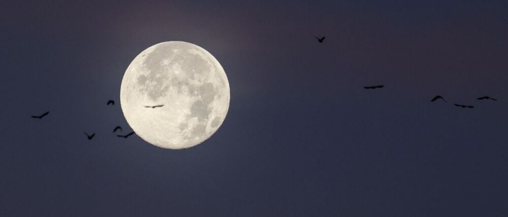 Der letzte Vollmond des Jahres wird auch „Cold Moon“ oder „Julmond“ genannt. (Archivbild)