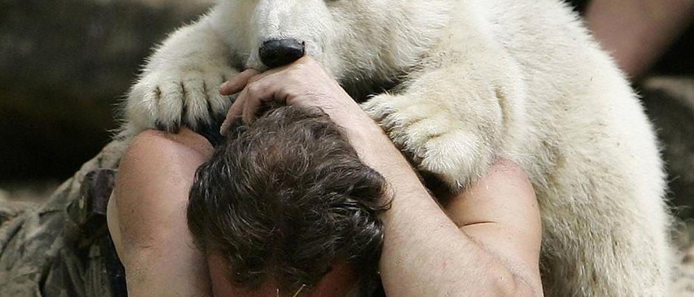 Knut