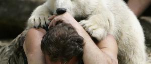 Knut