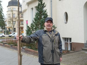 Der frühere Landschaftsgärtner Andreas Pietsch pflanzt auf eigene Faust neue Straßenbäume in Berlin-Schmargendorf.