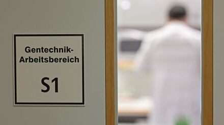 Befürworter erhoffen sich Obst- und Gemüsesorten, die ertragreicher, resistenter gegen den Klimawandel und nährstoffreicher sind.