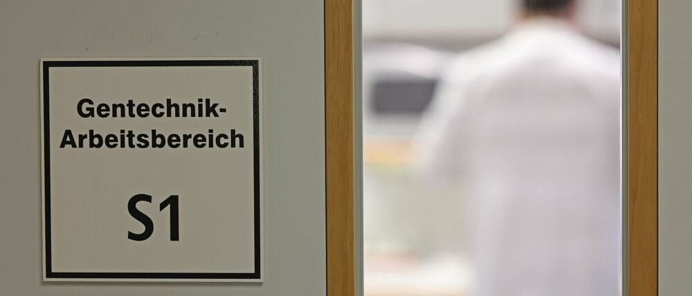 Befürworter erhoffen sich Obst- und Gemüsesorten, die ertragreicher, resistenter gegen den Klimawandel und nährstoffreicher sind.