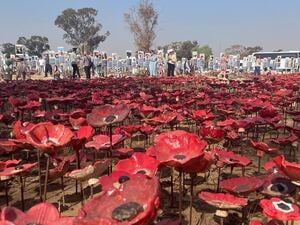 Metallener Klatschmohn in Gedenken an die Toten beim Nova-Festival.