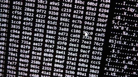 Die Ermittler vermuten eine hohe Dunkelziffer bei Opfern des Cyberbetrugs. (Symbolbild)