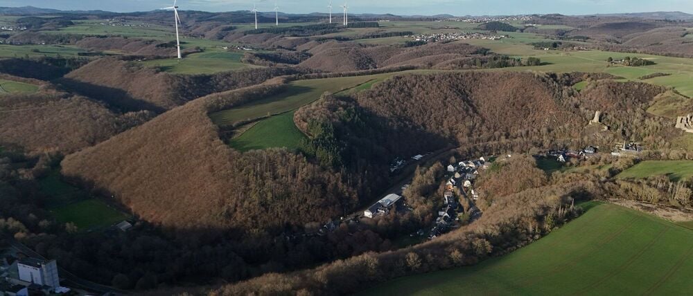 Die Leiche wurde in einem Waldstück bei Monreal entdeckt. (Archivbild)