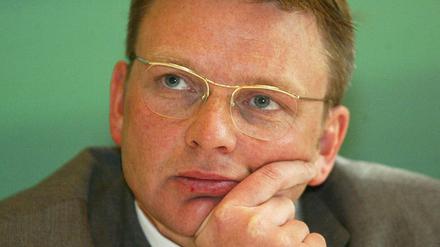 Volker Ratzmann, Grüne