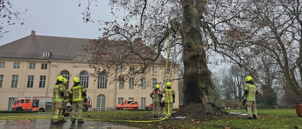 Löscharbeiten am Naturdenkmal im Schlosspark Schönhausen.