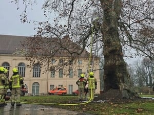 Löscharbeiten am Naturdenkmal im Schlosspark Schönhausen.