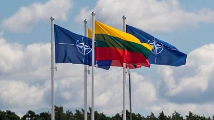 Flaggen der Nato-Mitgliedsländer, darunter Litauen, wehen im Wind vor dem Veranstaltungsort des Nato-Gipfels. 