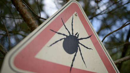 Das Risiko, von einer Zecke gestochen zu werden, besteht in ganz Deutschland. 