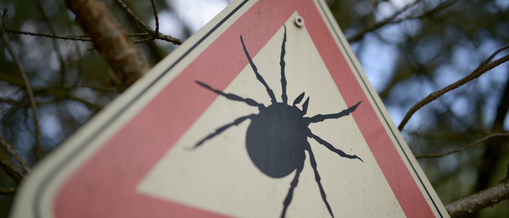Das Risiko, von einer Zecke gestochen zu werden, besteht in ganz Deutschland.
