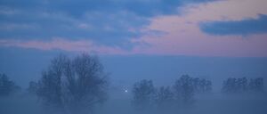 Nebel hüllt Berlin und Brandenburg am Morgen des Nikolaustages ein. (Symbolbild)