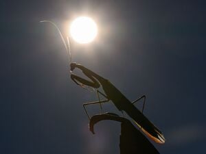 Das Jahr 2025 dürfte eines der drei heißesten werden. (Archivbild)