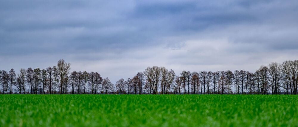 Viele Wolken ziehen in den kommenden Tagen über Berlin und Brandenburg. (Symbolbild)