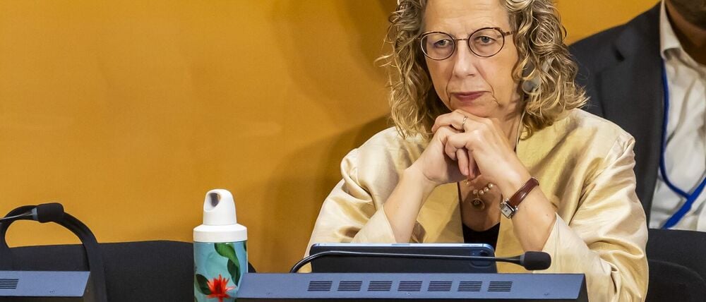 Inger Andersen, Exekutivdirektorin des UN-Umweltprogramms, stellte den globalen Umweltausblick vor. (Archivbild)
