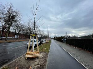 Der neue Radweg an der Charlottenburger Chaussee.