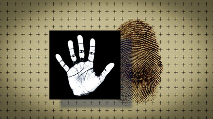 Kriminalität im Kontext von Zuwanderung