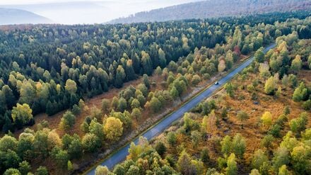 Die Forschenden empfehlen verschiedene Varianten, um das Klima zu schützen. (Symbolbild)