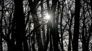 In Berlin und Brandenburg bleibt das Wetter mild.