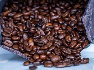 Geröstete Kaffeebohnen liegen vor einer Tüte (Symbolbild).