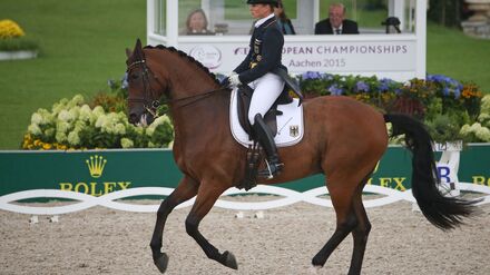 Isabell Werths Pferd Don Johnson, hier bei der EM 2015 in Aachen, ist tot. (Archivbild)