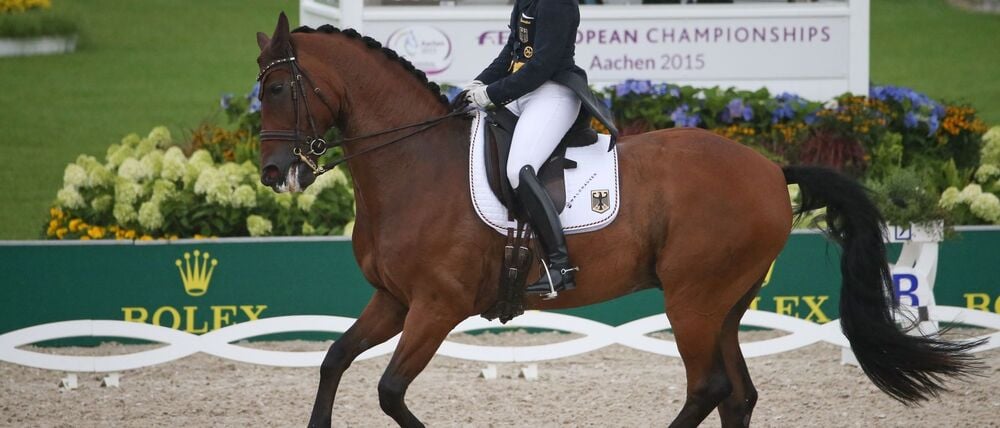 Isabell Werths Pferd Don Johnson, hier bei der EM 2015 in Aachen, ist tot. (Archivbild)