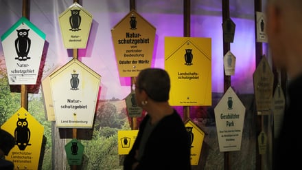 Eine Person läuft vor Schildern mit dem typischen Eulen-Symbol in der Sonderausstellung im Naturkundemuseum Potsdam.