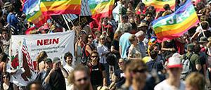 Demonstrationszug mit G-8-Gegnern zieht zum Rostocker Hafen.