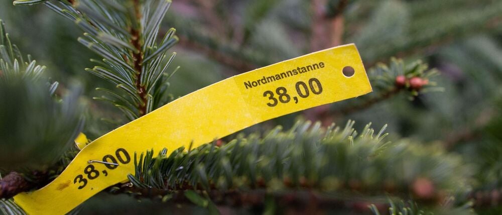 Rund 40 Bäume wurden dieses Mal gestohlen. (Symbolbild)